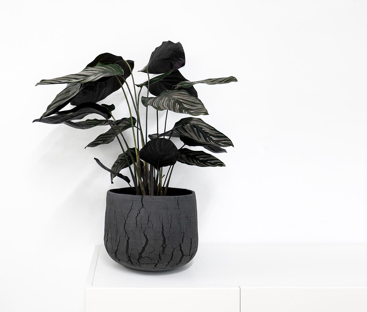 Handmade ceramic planter by Yvette Hoffmann Design